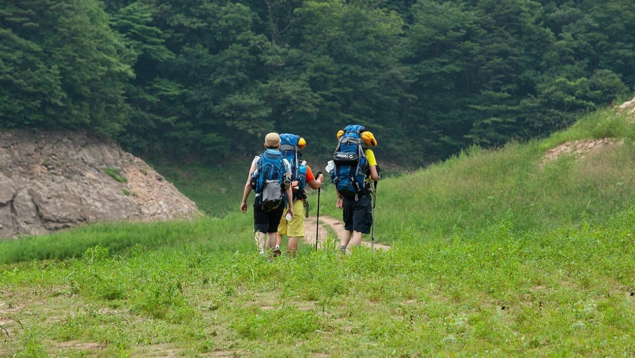 Ekonomika flotíl UAS: Komplexný model TCO a životného cyklu (CAPEX/OPEX)