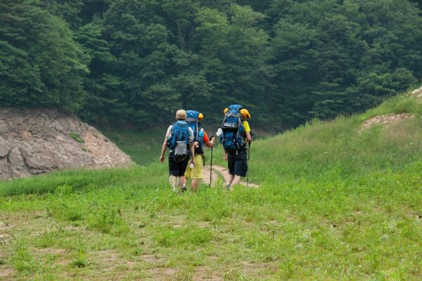 Ekonomika flotíl UAS: Komplexný model TCO a životného cyklu (CAPEX/OPEX)