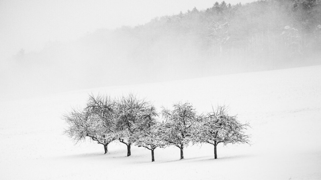 Aeroakustická optimalizácia: Znižovanie hluku a maximalizácia účinnosti vrtúľ