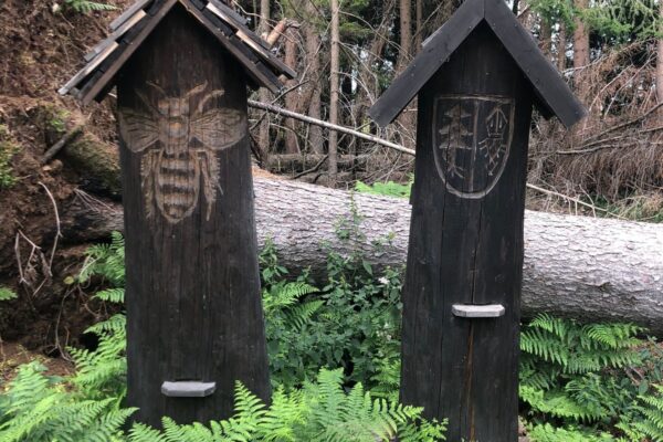 3D perceptorika: Komparatívna štúdia robustnosti a latencie Lidar vs. stereo-kamery