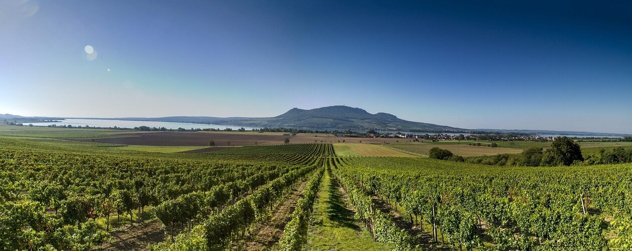 Adaptívne riadenie: Metódy odhadu vetra onboard a ich integrácia do plánovania dráhy letu