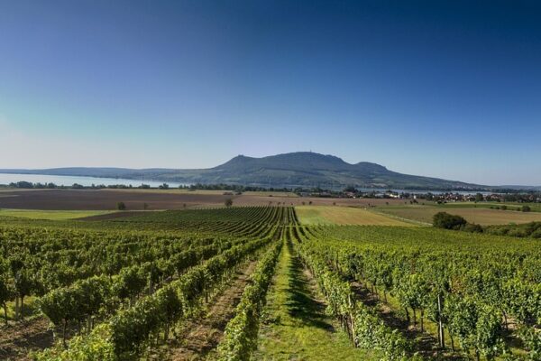 Adaptívne riadenie: Metódy odhadu vetra onboard a ich integrácia do plánovania dráhy letu