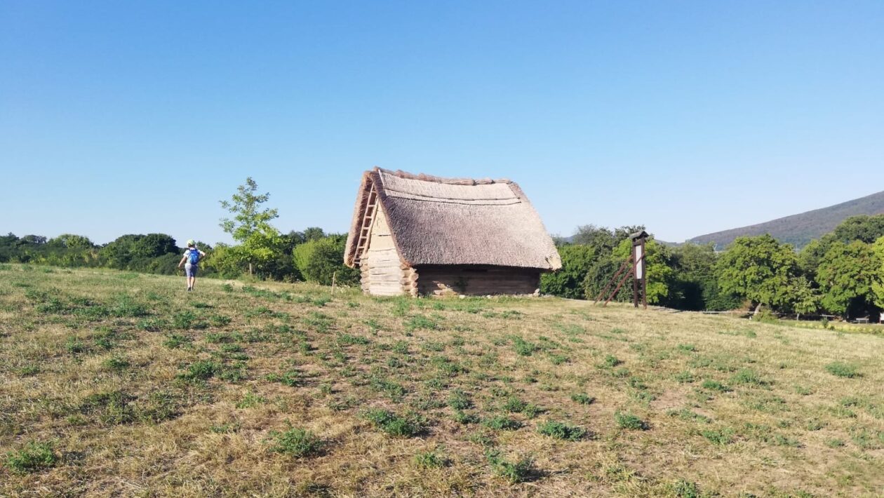 Plánovanie trajektórií: Algoritmy s reštrikciami dynamiky, prekážok a časových okien