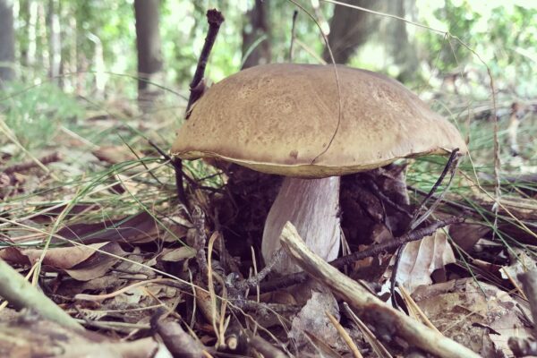 Minimalizácia latencie v riadiacej slučke: Vplyv komunikačného stacku a hardvérové mitigácie