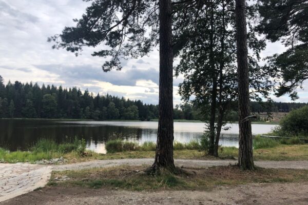 Testovanie autopilota: Dizajn simulačných prostredí HIL a SIL pre drony